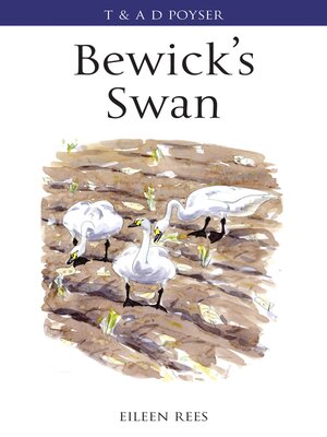 cover image of Bewick's Swan